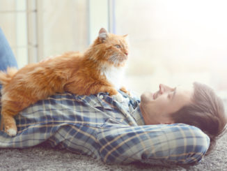 Young man with fluffy cat lying on a carpet