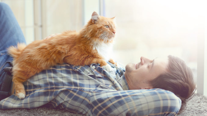 Young man with fluffy cat lying on a carpet