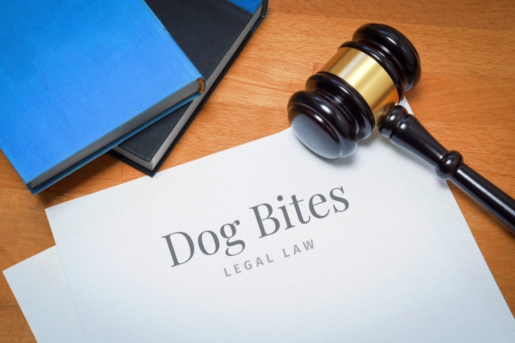 Dog Bites. Document with label. Desk with books and judges gavel